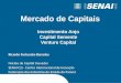 Investimento Anjo Capital Semente Venture Capital Ricardo Fortunato Barcelos Núcleo de Capital Inovador SENAI C2i - Centro Internacional de Inovação Federação