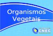 Organismos Vegetais. Disponível em: h. Acesso em: 14 maio 2012