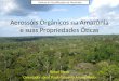 Aerossóis Orgânicos na Amazônia e suas Propriedades Óticas Rafael Stern Orientador: prof. Paulo Eduardo Artaxo Netto Defesa da Qualificação de Mestrado
