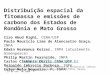 Distribuição espacial da fitomassa e emissões de carbono dos Estados de Rondônia e Mato Grosso Ciro Abud Righi, CENA/USP Paulo Maurício Lima de Alencastro