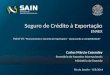 Seguro de Crédito à Exportação ENAEX Painel VII: “Financiamento e Garantia às Exportações – alavancando a competitividade” Rio de Janeiro – 8/8/2014 Carlos