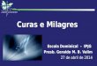 Curas e Milagres Escola Dominical - IPJG Presb. Geraldo M. B. Valim 27 de abril de 2014