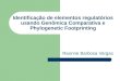 Identificação de elementos regulatórios usando Genômica Comparativa e Phylogenetic Footprinting Raonne Barbosa Vargas