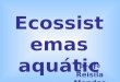 Ecossistemas aquticos Prof Reisila Mendes. Ecossistemas marinhos Cobrem cerca de 70% da superf­cie da Terra. ˆ o maior ambiente natural do planeta