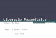 Liberação Paramétrica Estudo de Caso Rogélio Santos Silva out 2013