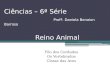 Ciências – 6ª Série Profª. Daniela Benaion Barroso Filo dos Cordados Os Vertebrados Classe das Aves Reino Animal
