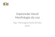 Expressão Vocal Morfologia da voz Fga. Pierangela Nota Simões 2011
