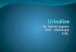 Dr. Marcel Jaqueto CCS – Nefrologia UEL. Exame de Urina Avaliação laboratorial da urina, que envolve avaliação de constituintes químicos da urina (bioquímica