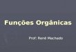 Funções Orgânicas Prof: Renê Machado. Funções Orgânicas O número enorme de compostos orgânicos conhecidos nos obriga a agrupa-los em classe ou famílias
