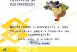 Diretoria de Agronegócios Mecanismos Financeiros e não Financeiros para o Fomento do Agronegócio Rio de Janeiro, 15 de junho de 2005