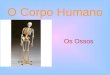 O Corpo Humano Os Ossos. E por falar em ossos... Sabias que é preciso um batalhão deles para fazer um ser humano? O esqueleto é formado por 206 ossos!