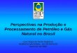 Perspectivas na Produção e Processamento de Petróleo e Gás Natural no Brasil Perspectivas na Produção e Processamento de Petróleo e Gás Natural no Brasil