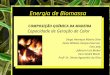 1 Energia de Biomassa COMPOSIÇÃO QUÍMICA DA MADEIRA Capacidade de Geração de Calor Diogo Henrique Ribeiro Silva Denis Willians Vargas Emerson Emir Jolly