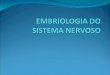 EMBRIOLOGIA DO SISTEMA NERVOSO O estudo do desenvolvimento embrionário do sistema nervoso é importante, pois permite entender muitos aspectos da anatomia