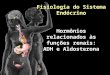 Fisiologia do Sistema Endócrino Hormônios relacionados às funções renais: ADH e Aldosterona Profa Cristina Maria Henrique Pinto Profa. Dra. Associada III