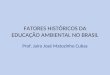 FATORES HISTÓRICOS DA EDUCAÇÃO AMBIENTAL NO BRASIL Prof. Jairo José Matozinho Cubas
