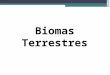 Biomas Terrestres. Bioma é uma comunidade biológica, ou seja, a fauna e a flora e suas interações entre si e com o ambiente físico, o solo, a água, o