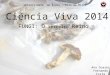 Ciência Viva 2014 FUNGI: O terceiro Reino Ana Soares Fernando Costa Universidade de Évora – Polo da Mitra