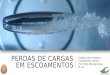 PERDAS DE CARGAS EM ESCOAMENTOS Esttica dos Fluidos e Escoamento Interno Prof. Eng. Marcelo Silva, M. Sc