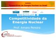 Economia e Competitividade da Energia Nuclear Prof. Amaro Pereira