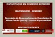 CAPACITAÇÃO EM COMÉRCIO EXTERIOR IEL/FIEMG/CIN - SINDMEC Secretaria de Desenvolvimento Econômico de Minas Gerais (SEDE) - Central Exportaminas MDIC/SECEX/DEAEX
