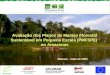 Avaliação dos Planos de Manejo Florestal Sustentável em Pequena Escala (PMFSPE) no Amazonas Manaus - maio de 2006