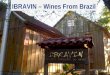 © Copyright 2009, Top Brands. Proibida reprodução. Todos os direitos reservados. IBRAVIN – Wines From Brazil