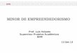 MINOR DE EMPREENDEDORISMO Prof. Luís Volpato Supervisor Projetos Acadêmicos ADM 13 Set 13