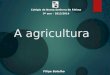 A agricultura Colégio de Nossa Senhora de Fátima 9º ano – 2013/2014 Filipe Botelho