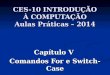 CES-10 INTRODUÇÃO À COMPUTAÇÃO Aulas Práticas – 2014 Capítulo V Comandos For e Switch-Case
