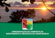 APRESENTAÇÃO DO AMBIENTE DE INVESTIMENTO E NEGÓCIOS NA GUINÉ-BISSAU