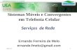 Ernande Ferreira de Melo ernande.fmelo@gmail.com Serviços de Rede Sistemas Móveis e Convergentes em Telefonia Celular 16/12/20141