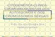 CITOGENÉTICA CLÍNICA CROMOSSOMOPATIAS DOS AUTOSSOMOS E DOS CROMOSSOMOS SEXUAIS Profa. Dra. Ana Elizabete Silva Genética Humana
