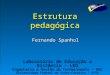 Estrutura pedagógica Fernando Spanhol Laboratório de Educação a Distância – LED Engenharia e Gestão do Conhecimento - EGC Universidade Federal de Santa
