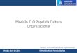 Módulo 7: O Papel da Cultura Organizacional Versão: abril de 2014 © Prof. Dr. Fábio Ferreira Batista Módulo 7: O Papel da Cultura Organizacional