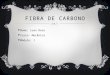 FIBRA DE CARBONO  Nome: Luan Rosa  Curso: Mecânica  Módulo: I