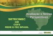 SETEC/MECDIRCGFS REDE E-TEC BRASIL Fevereiro de 2013 Avaliação e Novas Perspectivas