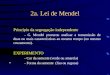 2a. Lei de Mendel Princípio da segregação independente - G. Mendel procurou analisar a transmissão de duas ou mais características ao mesmo tempo (no mesmo