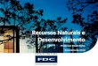 Recursos Naturais e Desenvolvimento Professor Paulo Paiva Fevereiro de 2014