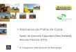 Biomassa da Palha de Cana Samir de Azevedo Fagundes (New Holland) Marcelo Pierossi (CTC) 6º Congresso Internacional de Bioenergia