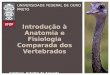 Introdução à Anatomia e Fisiologia Comparada dos Vertebrados Cristiano Schetini de Azevedo UNIVERSIDADE FEDERAL DE OURO PRETO