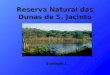 Reserva Natural das Dunas de S. Jacinto Ecologia I