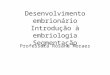 Desenvolvimento embrionário Introdução à embriologia Segmentação Professora Rosana Moraes