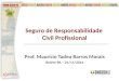 Seguro de Responsabilidade Civil Profissional Prof. Maurício Tadeu Barros Morais Belém-PA – 21/11/2014 1