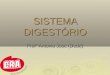 SISTEMA DIGESTÓRIO Profº Antonio José (Dedé). Tipos de alimento Plásticos ou estruturais: alimentos ricos em PROTEÍNAS