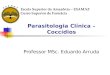Parasitologia Clínica – Coccídios Professor MSc. Eduardo Arruda Escola Superior da Amazônia – ESAMAZ Curso Superior de Farmácia