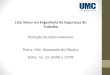 Lato Sensu em Engenharia de Segurança do Trabalho Proteção do Meio Ambiente Prof.a MSc. Rosemeire de Oliveira Datas: 16, 23, 30/08 e 13/09