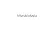 Microbiologia. Classificação dos organismos Célula procariótica (Reino Monera) Célula eucariótica (Reino Protista) Eubactérias Arqueobactérias Cianobactérias