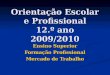 Orientação Escolar e Profissional 12.º ano 2009/2010 Ensino Superior Formação Profissional Mercado de Trabalho