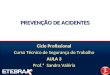 PREVENÇÃO DE ACIDENTES Ciclo Profissional Curso Técnico de Segurança do Trabalho AULA 3 Prof.ª Sandra Valéria